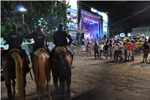 10.000 pés de maconha destruídos em operação na Cidade de Caxias-MA