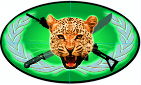 COSAR logo