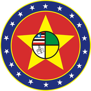 PMMA 2