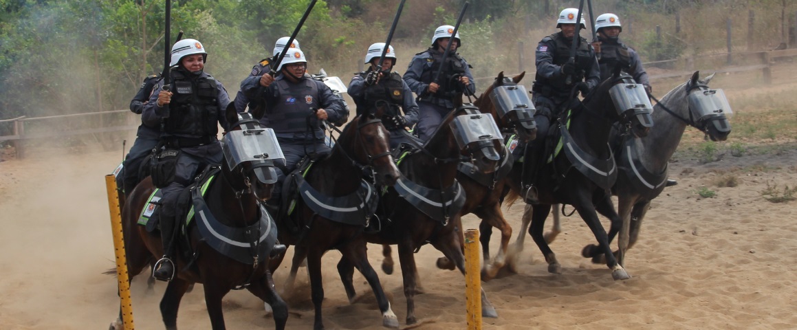 imagem3