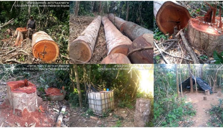 OPERAÇÃO BPA E FUNAI NA RESERVA INDÍGENA ARARIBOIA