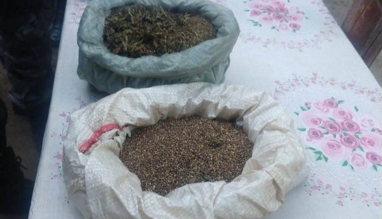 Polícia Militar do Maranhão apreende droga no município de Mirinzal