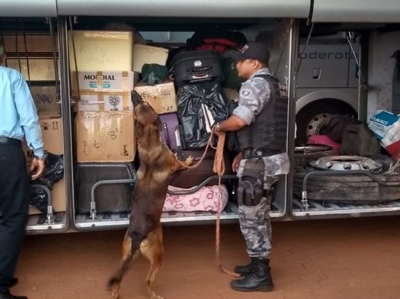POLÍCIA MILITAR REALIZA OPERAÇÃO DE COMBATE AO TRÁFICO DE DROGAS