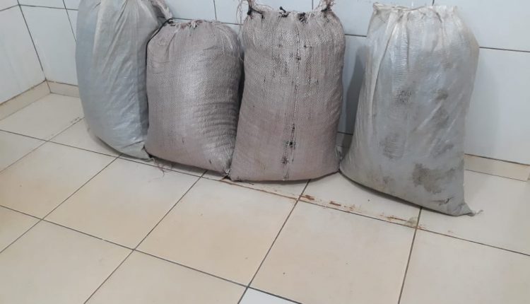 EM AÇÃO CONJUNTA POLÍCIA MILITAR E POLÍCIA CIVIL PRENDEM HOMEM COM CERCA DE 40KG DE MACONHA