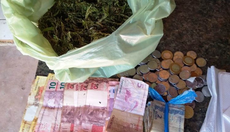 5° BPM APREENDE MACONHA EM UMA CHÁCARA EM BARRA DO CORDA/MA