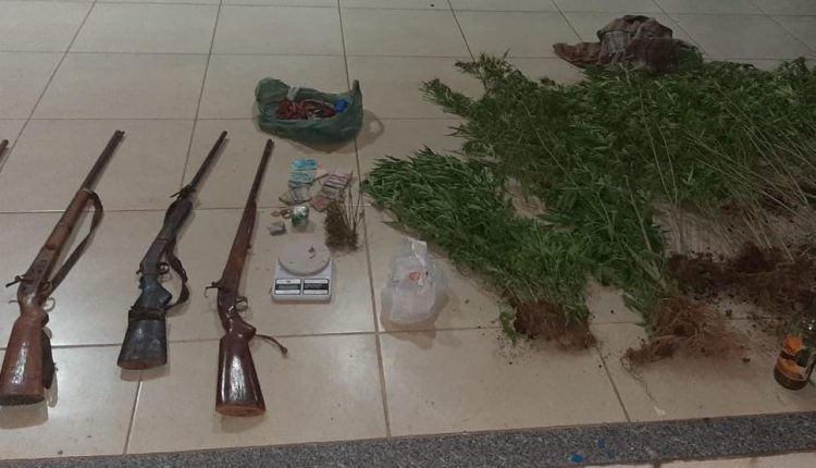 Policiais militares do 17º BPM descobrem plantação de maconha e apreendem quatro armas de fogo em Codó