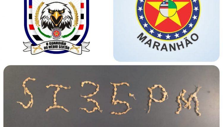 PMMA apreende drogas na cidade de Paraibano – MA