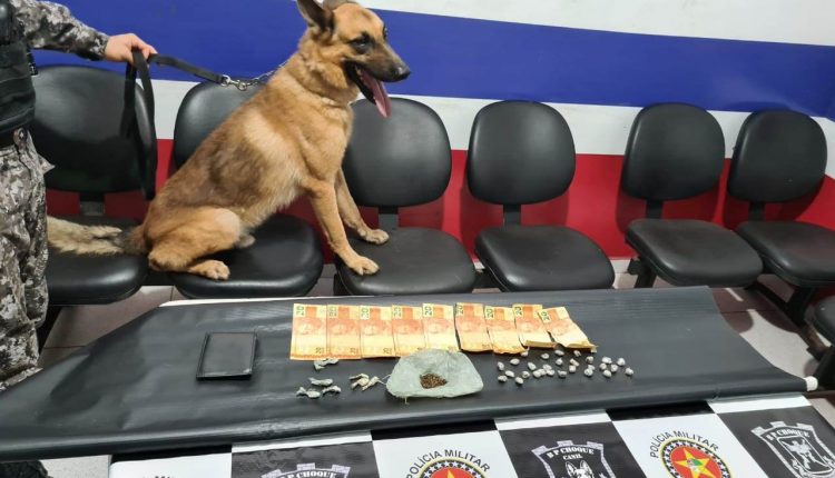 CANIL DA PMMA APREENDE DROGAS NA VILA EMBRATEL
