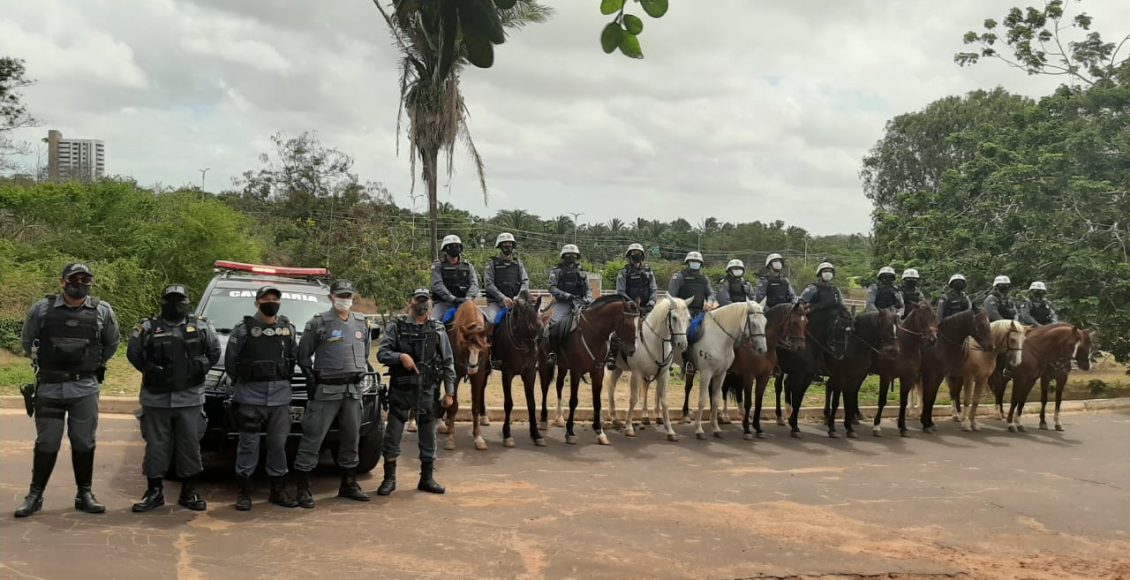 WhatsRPMONTApp Image 2020-11-15 at 11.46.48