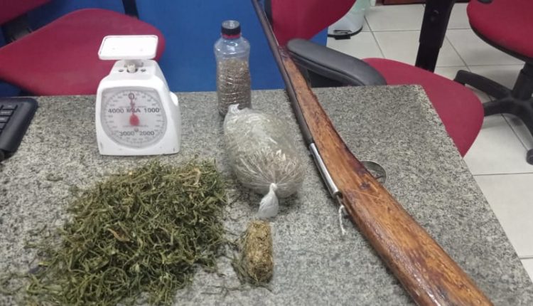 POLICIAIS MILITARES DO BPTUR APREENDEM 140 PÉS DE MACONHA EM SANTO AMARO