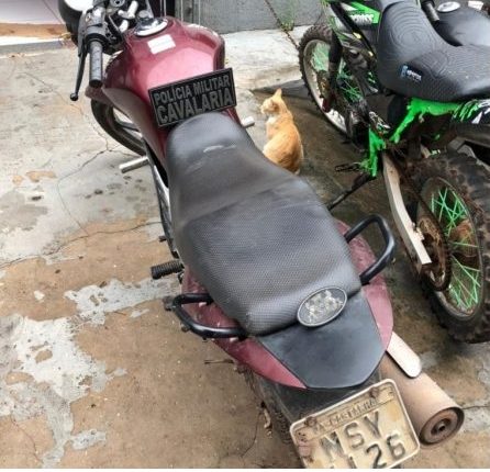 POLICIAIS DO RPMONT PRENDEM HOMEM COM MOTOCICLETA ROUBADA
