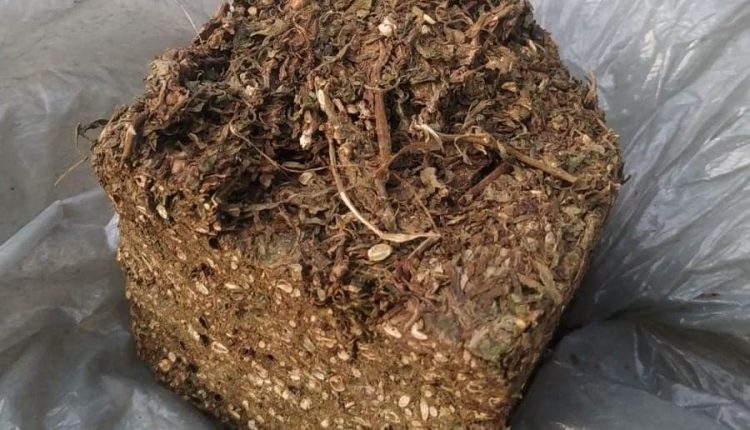 POLICIA MILITAR APREENDE ENTORPECENTE EM NOVA OLINDA