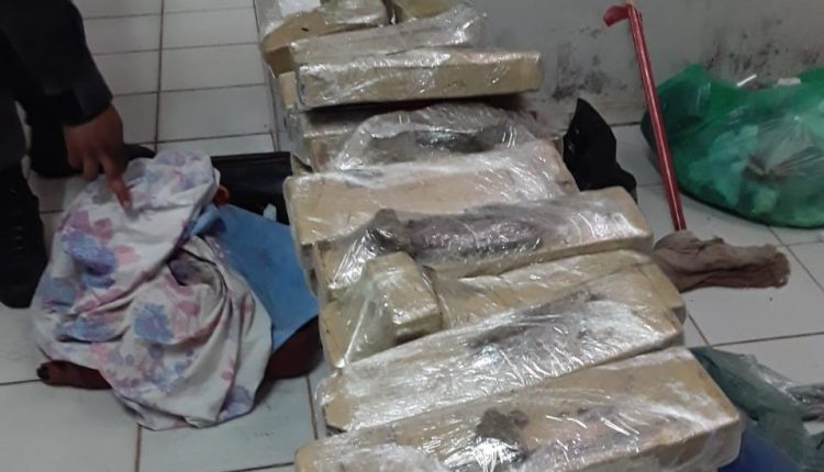 Polícia Militar apreende 22 tijolos de maconha prensada em Viana-MA