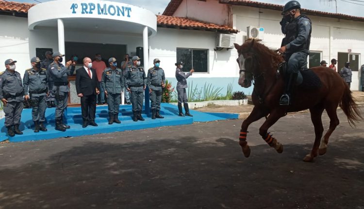 Polícia Militar do Maranhão comemora o dia 10 de maio – Dia da Cavalaria