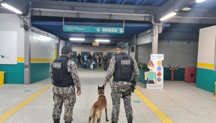 Operação carnaval: Batalhão de Polícia de Choque realiza ações de combate à criminalidade na capital