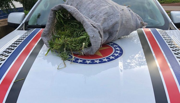 Polícia Militar prende suspeito de tráfico e apreende 5kg de drogas