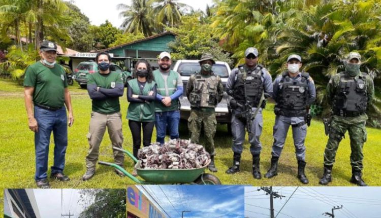 Batalhão Ambiental da PMMA e Sema deflagram 4º fase da “Operação Defeso”