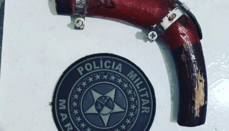 POLICIAIS APREENDEM ARMA DE FOGO ARTESANAL EM PRIMEIRA CRUZ