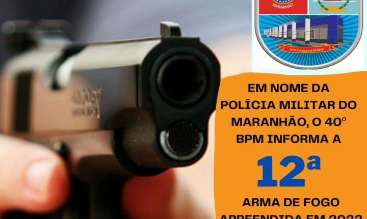 Arma de fogo é apreendida na Raposa