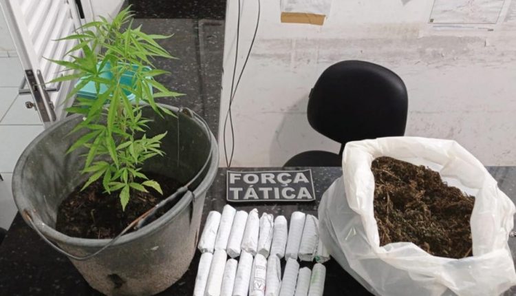 Droga é apreendida em ação da PMMA na cidade de Barra do Corda