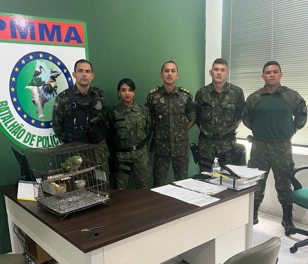 BATALHÃO AMBIENTAL CONFECCIONA PRIMEIRO TCO EM SÃO LUÍS NO BAIRRO COROADINHO
