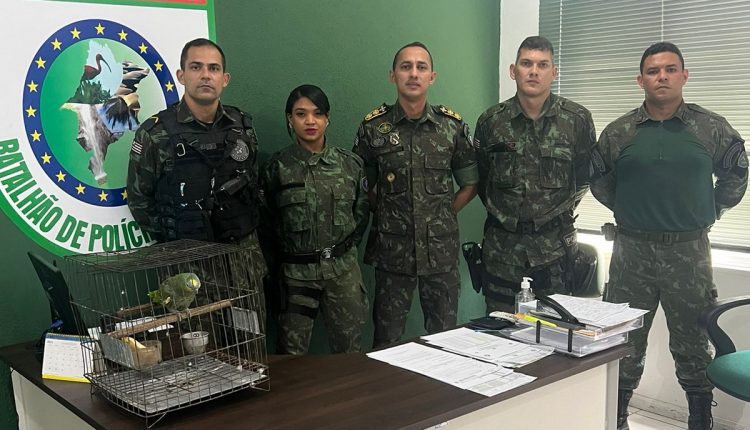 BATALHÃO AMBIENTAL CONFECCIONA PRIMEIRO TCO EM SÃO LUÍS NO BAIRRO COROADINHO