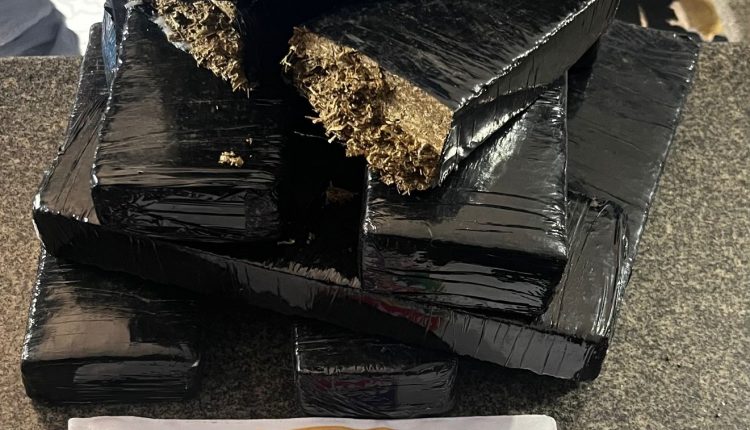 Polícia Militar faz apreensão de mais de 6 quilos de maconha em Colinas